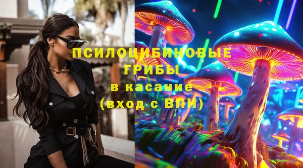 дживик Верея