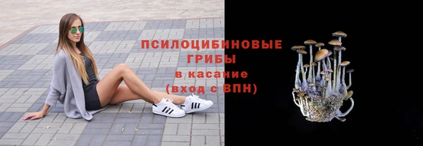 дурь Верхнеуральск