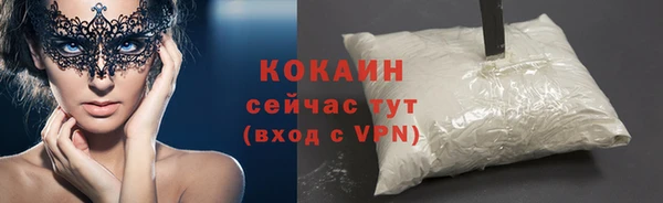 дживик Верея