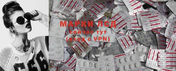дживик Верея