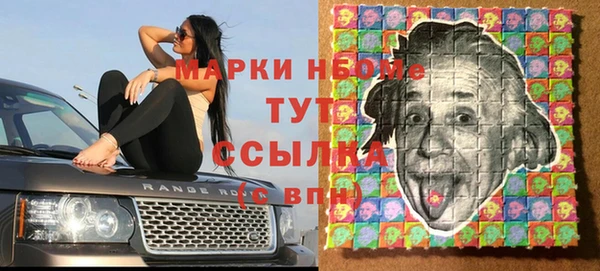 дживик Верея