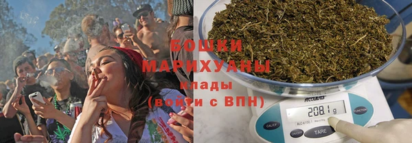 дживик Верея